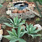 Hébergement de vacances Monte Areias Casa De Campo/passadiço/pateo/rampa *