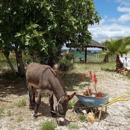 Ferienhaus Monte Areias Casa De Campo/passadico/pateo/rampa *