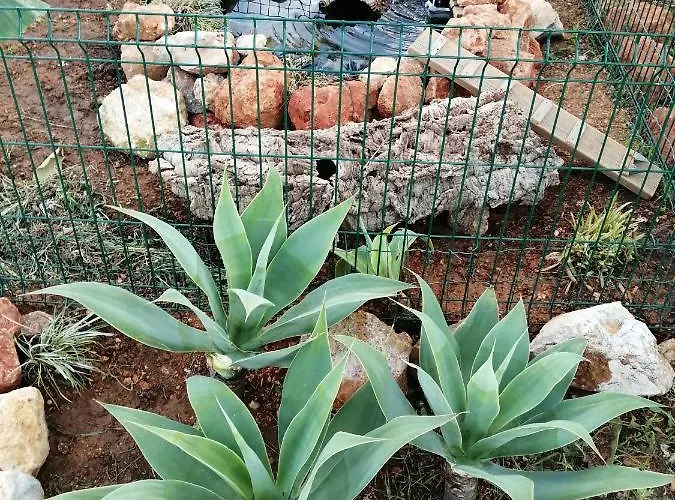 Σπίτι διακοπών Monte Areias Casa De Campo/passadico/pateo/rampa *