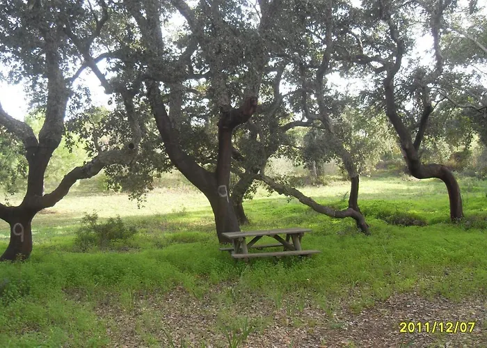 Monte Areias Casa De Campo/passadico/pateo/rampa Porches (Algarve)