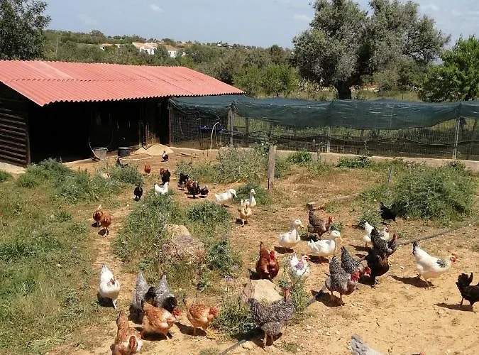 Σπίτι διακοπών Monte Areias Casa De Campo/passadico/pateo/rampa