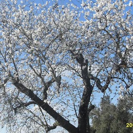 Monte Areias Casa De Campo/passadico/pateo/rampa Holiday home *