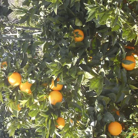 Monte Areias Casa De Campo/passadico/pateo/rampa *