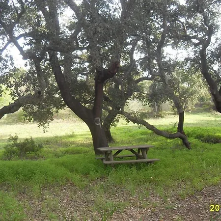 Monte Areias Casa De Campo/passadico/pateo/rampa Porches (Algarve)