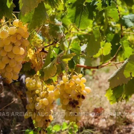Monte Areias Casa De Campo/passadico/pateo/rampa Porches (Algarve)